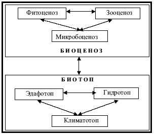 21 Sisteme ecologice