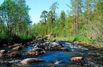 Biogeocoenosis diferit de ecosistemul, ceea ce este diferența