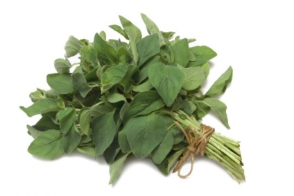 Ce este oregano aplicare condimente (a) Ce este oregano, utilizarea de condimente
