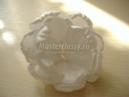 flori Duchesse cu propriile sale mâini (foarte) flori Duchesse cu propriile sale mâini