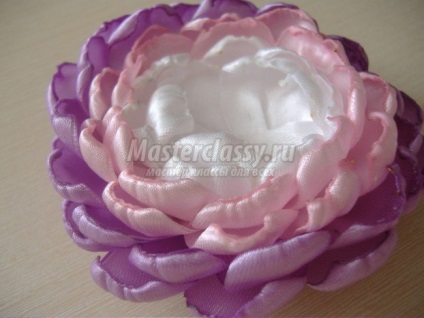 flori Duchesse cu propriile sale mâini (bandaj) flori Duchesse cu propriile sale mâini
