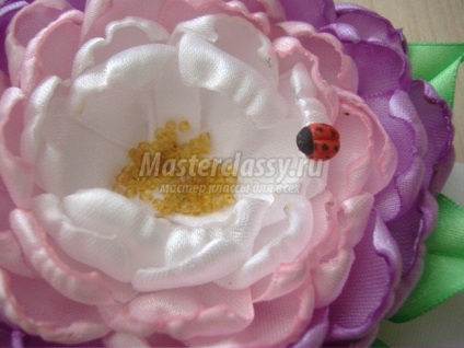 flori Duchesse cu propriile sale mâini (Duchesse) flori Duchesse cu propriile sale mâini