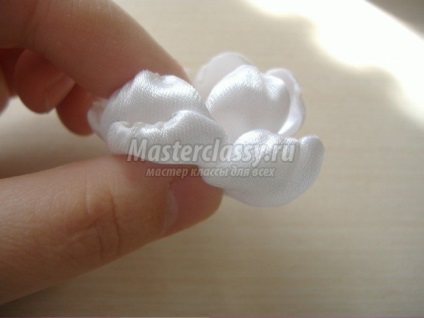 flori Duchesse cu propriile sale mâini (bandaj) flori Duchesse cu propriile sale mâini