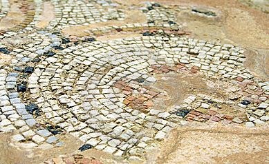 calea de gradina decorative (track) Cale de grădină decorative