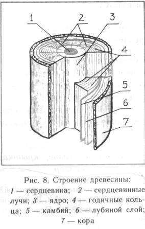 Drevesina- naturale structurale