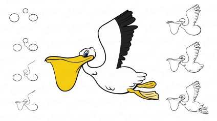 Cum să atragă un pelican în etape