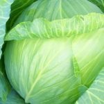 sos de căpșuni de îngrijire de primăvară (dressing) sos de căpșuni de îngrijire de primăvară