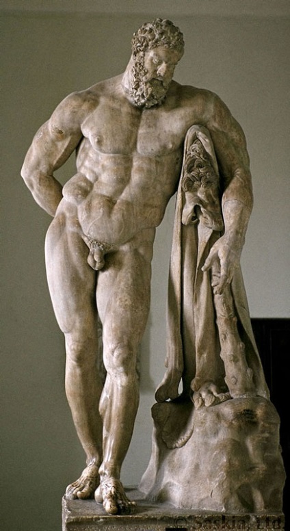 figura frumoasa de sex masculin, canoanele (circumferinta circumferinta piept) figura de sex masculin frumos, canoane