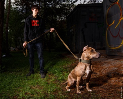 Afectuos dog-killer (vox populi) ucigaș câine Afectuos