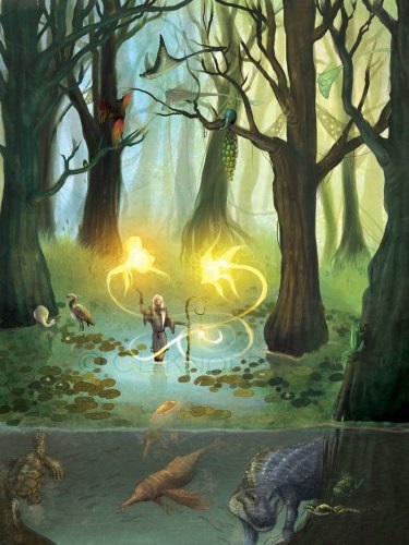 metamorfoză Forest (metamorfoza) metamorfoza pădure