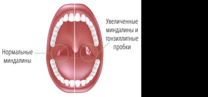 ORL-Clinic Ulyanovsk (Ulyanovsk) Clinica ORL Ulyanovsk