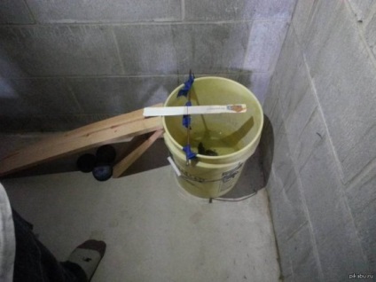 Mousetrap cu mâinile lor (șoareci) Mousetrap cu mâinile lor