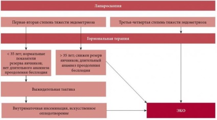 Pot ramane insarcinata cu endometrioza (problema poate deveni gravidă) Pot ramane insarcinata cu endometrioza