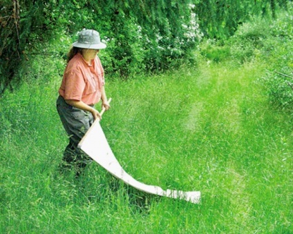 Procesarea din porțiunea acarieni (porțiune) Procesare Lot de acarieni