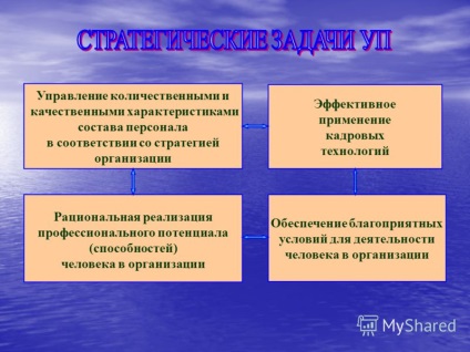 Prezentarea privind managementul personalului de curs ca o activitate profesională întrebări 1 (adecvarea oportunităților profesionale) Prezentarea privind managementul personalului de curs ca o activitate profesională Întrebări 1