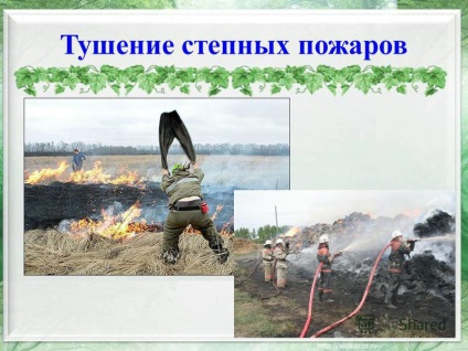 Prezentarea privind incendiile de pajiști (incendii Reed Reed incendii) Prezentarea pe incendii