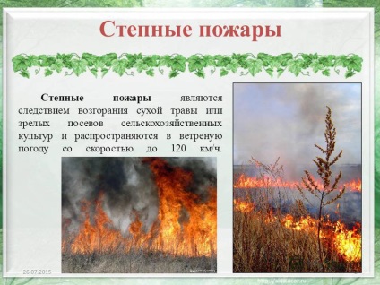 Prezentare privind incendiile de stepa (incendii de stepă. Incendii stepa sunt o consecință a aprinderii iarbă uscată sau culturi agricole mature si distribuite in vant). Prezentarea pe incendii