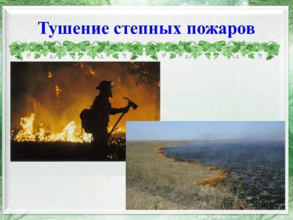Prezentarea privind incendiile de pajiști (incendii Reed Reed incendii) Prezentarea pe incendii