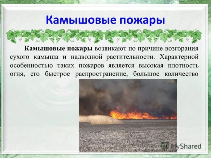Prezentarea privind incendiile de pajiști (incendii Reed Reed incendii) Prezentarea pe incendii