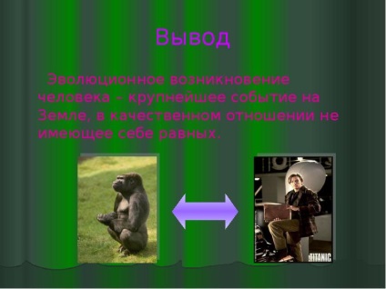 Prezentarea pe persoana ca o formă unică de animale sălbatice (PPTX) Prezentarea pe persoana ca o formă unică de animale sălbatice