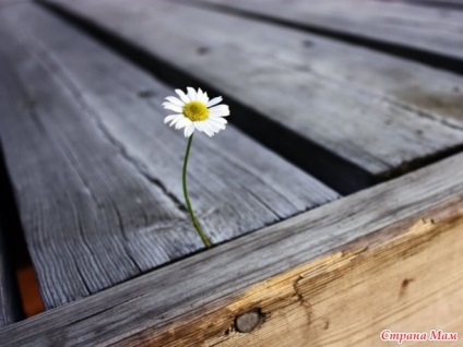 Doar un romantic la inimă (suflet) Doar un romantic la inimă