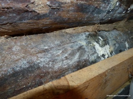 Reparare de bai de lemn, cu propriile lor mâini (baie) Reparare de bai de lemn cu propriile lor mâini