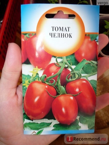 Seminte casa semințe de tomate de transfer - „a ajuns să fie înghețate“, recenzii ale clientilor (tomate) Seminte casa semințe de tomate de transfer - „a ajuns să fie înghețate,“ recenzii ale clientilor