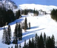 Resort sunt de schi (sunt) (Suedia) - Suedia Statiune de schi sunt (sunt) - Suedia