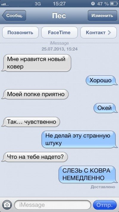 Sms-corespondență cu câinele (47 poze) (numeroase) Sms-corespondență cu câinele (47 poze)
