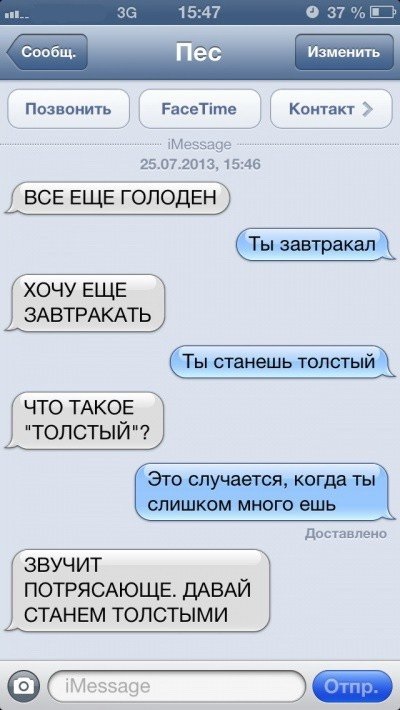 Sms-corespondență cu câini (47 poze) (nostru) Sms-corespondență cu câinele (47 poze)