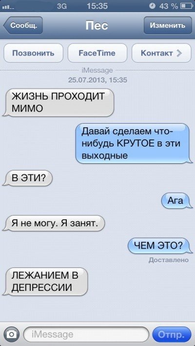 Sms-corespondență cu câinele (47 poze) (Tumblr) Sms-corespondență cu câinele (47 poze)