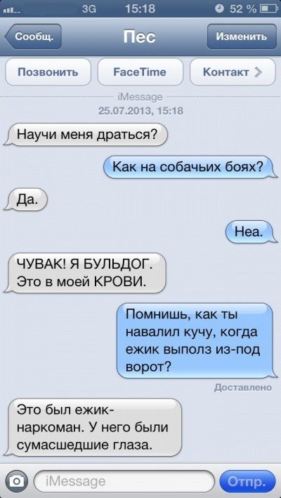 Sms-corespondență cu câinele (47 poze) (singur) Sms-corespondență cu câinele (47 poze)