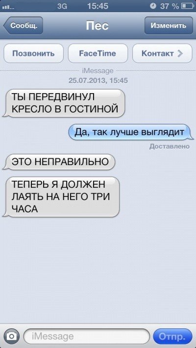 Sms-corespondență cu câini (47 poze) (aici) Sms-corespondență cu câinele (47 poze)
