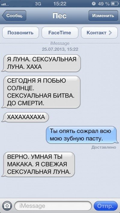 Sms-corespondență cu câini (47 fotografii) (ar putea) Sms-corespondență cu câinele (47 poze)