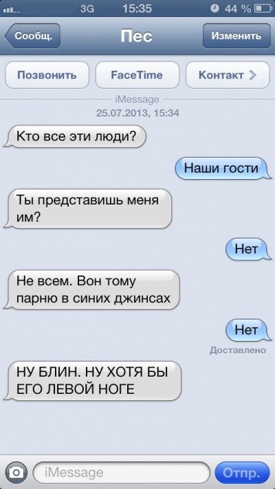 Sms-corespondență cu câinele (47 poze) (locul I) Sms-corespondență cu câinele (47 poze)