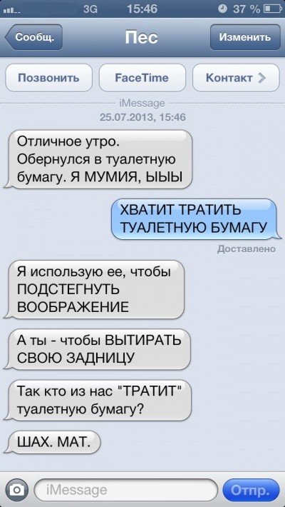 Sms-corespondență cu câinele (47 poze) (locul I) Sms-corespondență cu câinele (47 poze)