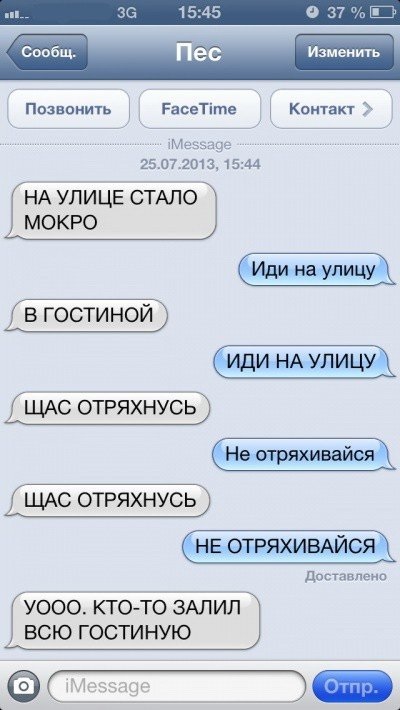 Sms-corespondență cu câinele (47 poze) (membru) Sms-corespondență cu câinele (47 poze)