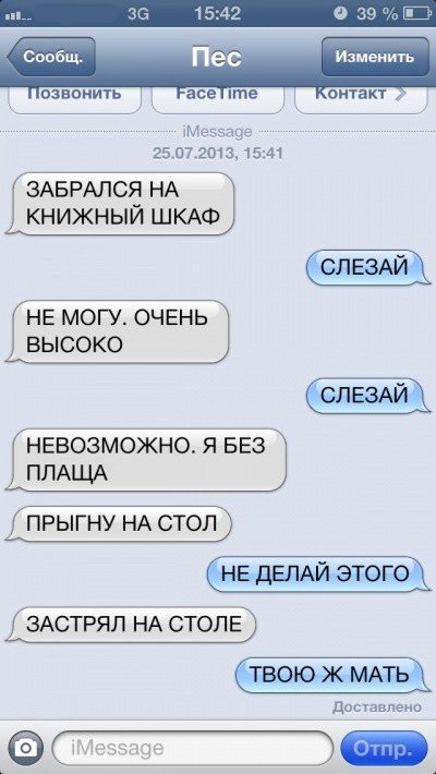 Sms-corespondență cu câinele (47 poze) (țară) Sms-corespondență cu câinele (47 poze)