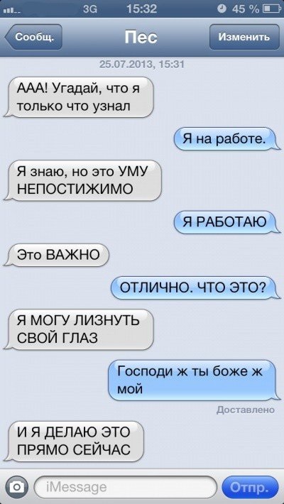 Sms-corespondență cu câini (47 fotografii) (destul de) Sms-corespondență cu câinele (47 poze)