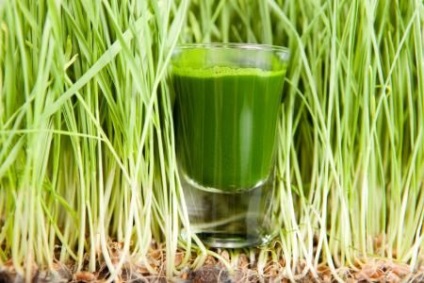 grâu beneficii suc de iarbă cocktail smarald (utilizare) iarbă de grâu beneficii suc de cocktail smarald