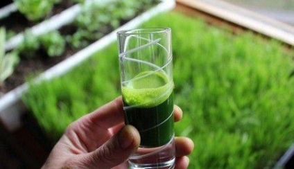 grâu beneficiile suc de iarbă smarald cocktail (număr de nutrienți) iarbă de grâu beneficii suc de cocktail smarald