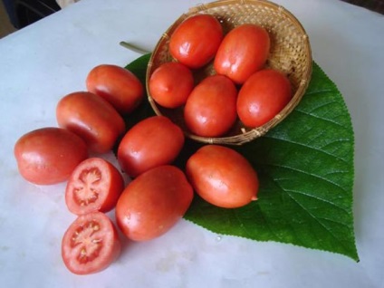 Caracterizarea de transfer de tomate și descrierea soiului, comentarii cu privire la aceasta cei care au cultivat fotografia lui (de transfer) Caracterizarea de transfer de tomate și descrierea soiului, comentarii cu privire la aceasta cei care au cultivat fotografia lui