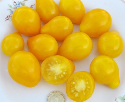 Tomate miere descriere picătură, fotografii, comentarii ( „picătură de miere“ roșii) Tomate miere descriere picătură, fotografii, comentarii