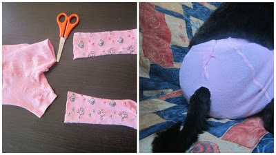 Chiloți pentru câini în căldură (calduri) Chiloți pentru câini în căldură