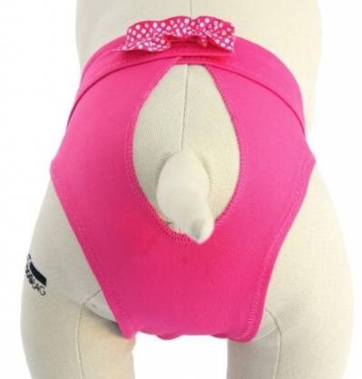 Chiloți de protecție câini și confort (pantaloni călduri câini) Chiloți de protecție câini și confort