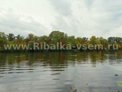 Twister biban (Perch) Twisters pentru biban