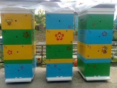 Grija pentru albine în primăvară, după iernare video (în primăvară) Grija pentru albine în primăvară, după iernare film