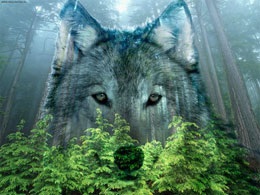 Wolf, misticismul antic (Noua Ordine Mondială) Wolf, misticismul antic
