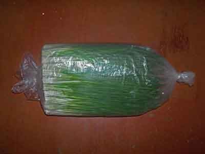 Arpagic îngălbenire (grad de temperatura apei) ceapa verde galben