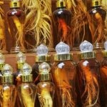 Ginseng pentru imunitar (imunitate) Ginseng pentru imunitate